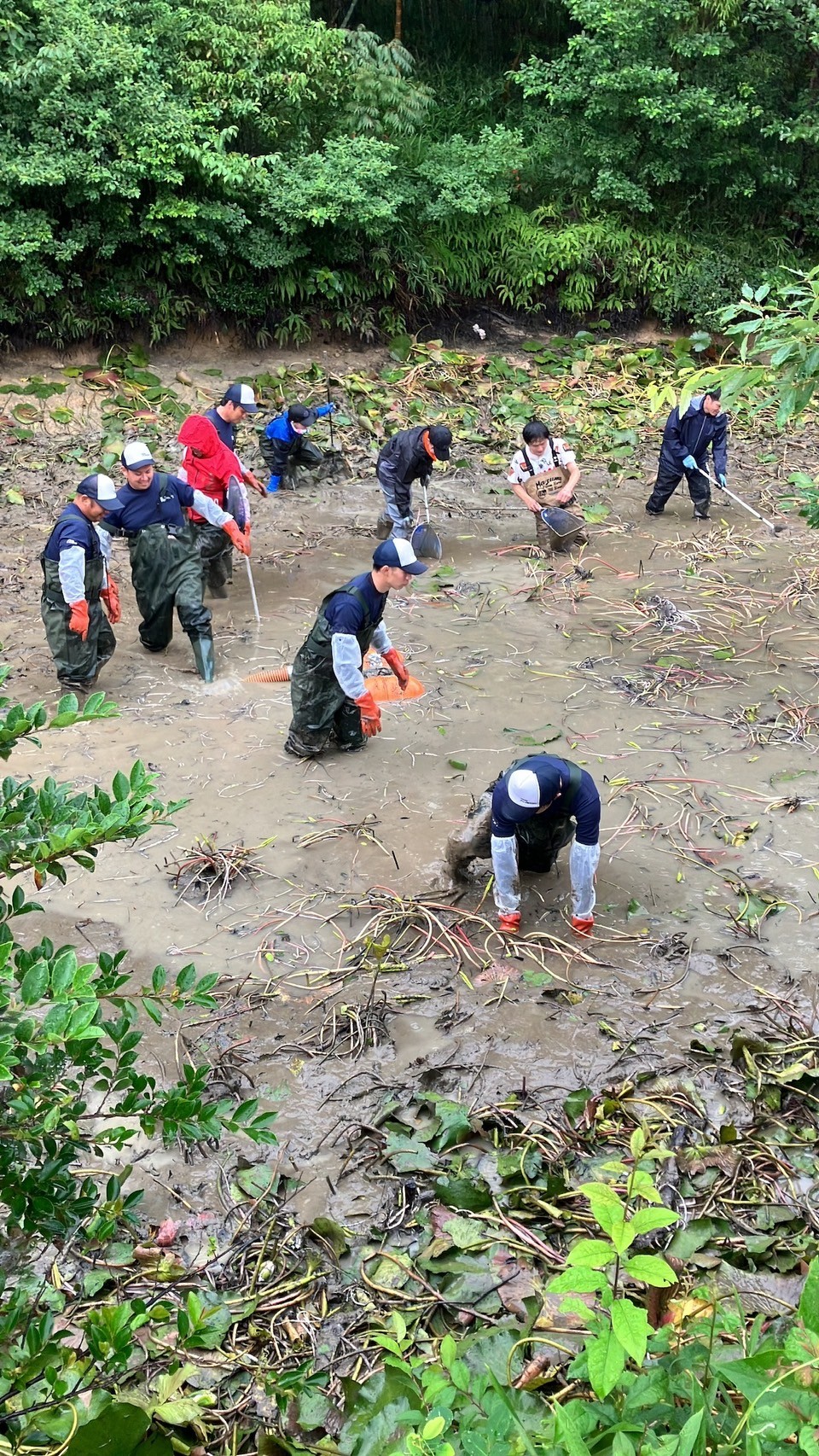 【テレビ番組製作協力】探偵ナイトスクープ　　☝さらに詳細は写真をクリック☝