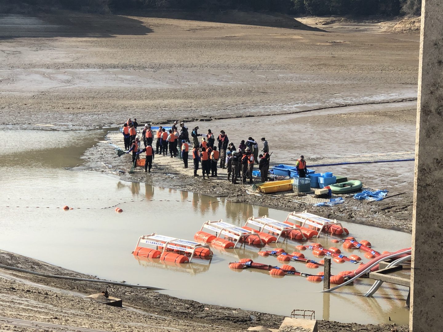 【テレビ番組製作協力】池の水全部抜く大作戦　　☝さらに詳細は写真をクリック☝