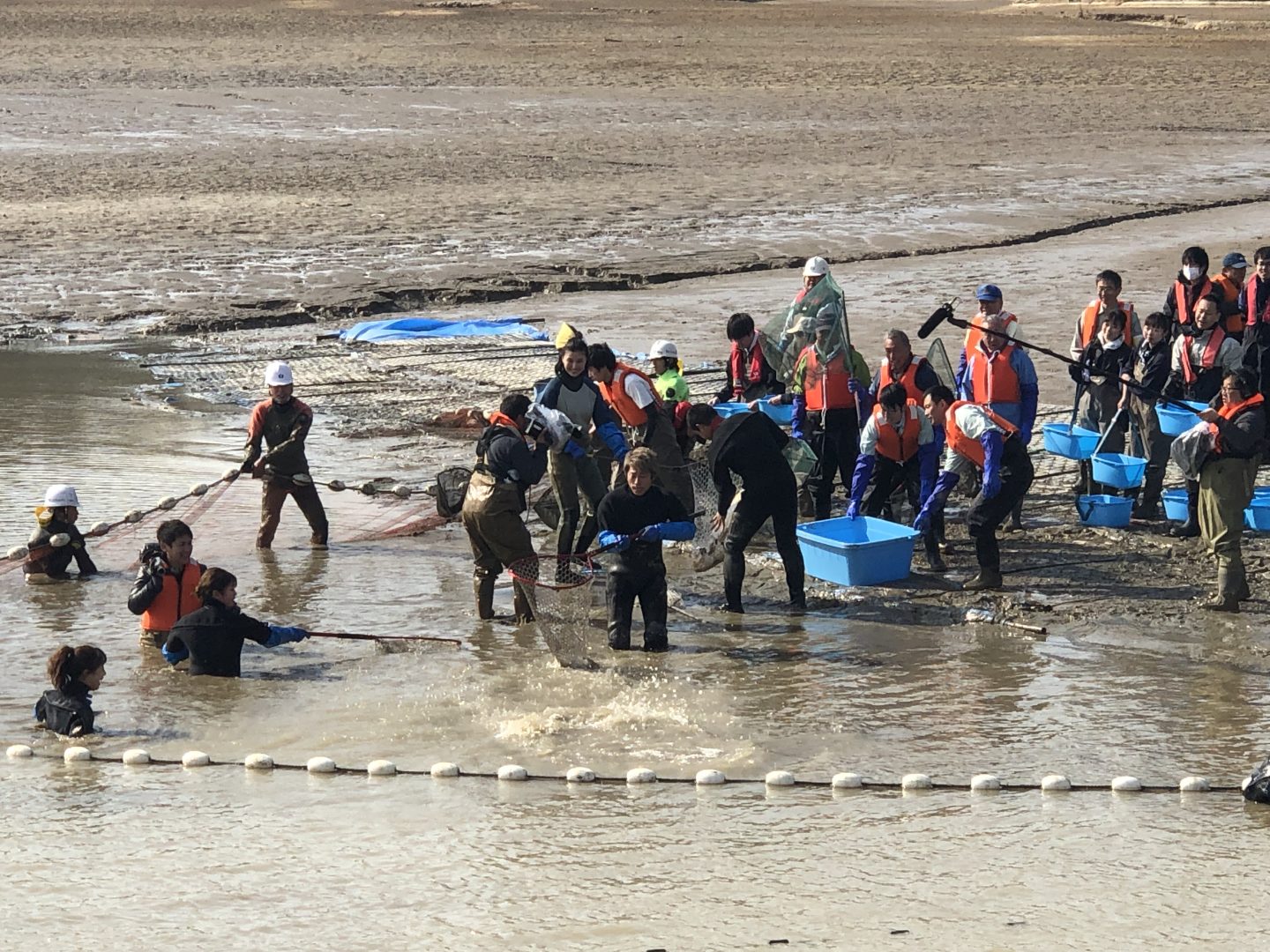 【テレビ番組製作協力】池の水全部抜く大作戦　　☝さらに詳細は写真をクリック☝