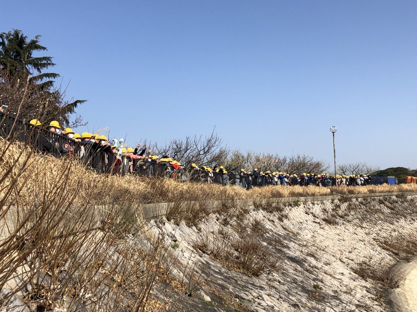 【テレビ番組製作協力】池の水全部抜く大作戦　　☝さらに詳細は写真をクリック☝