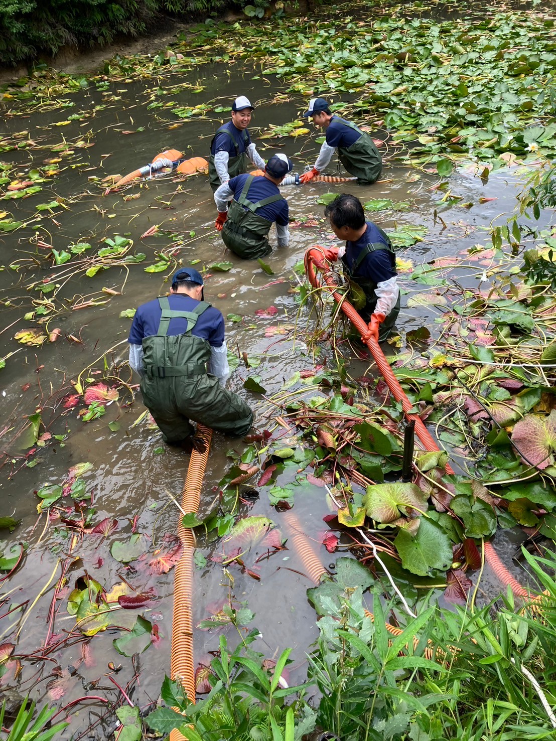【テレビ番組製作協力】探偵ナイトスクープ　　☝さらに詳細は写真をクリック☝