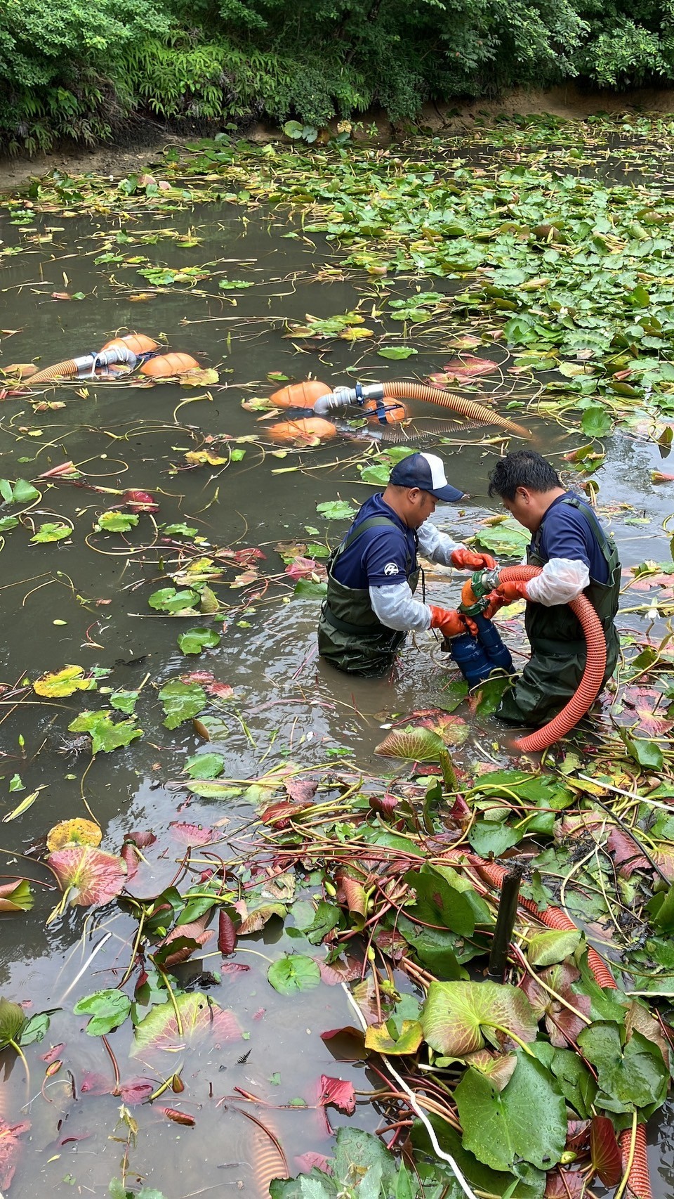 【テレビ番組製作協力】探偵ナイトスクープ　　☝さらに詳細は写真をクリック☝
